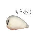 サカバンバスピス（実写）（個別スタンプ：1）