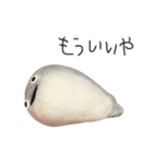 サカバンバスピス（実写）（個別スタンプ：3）