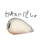 サカバンバスピス（実写）（個別スタンプ：9）