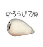 サカバンバスピス（実写）（個別スタンプ：12）