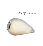 サカバンバスピス（実写）（個別スタンプ：16）