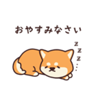 ちゃんしば（毎日）（個別スタンプ：14）