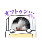 じぇむちスタンプ（個別スタンプ：13）