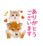 かわいい犬＆猫❤️飛び出す❤️シバにゃん（個別スタンプ：9）