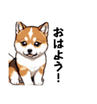 柴犬（ドット絵）（個別スタンプ：5）