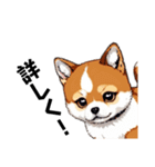 柴犬（ドット絵）（個別スタンプ：13）