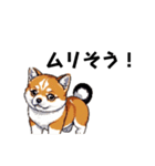 柴犬（ドット絵）（個別スタンプ：16）