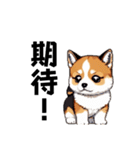 柴犬（ドット絵）（個別スタンプ：17）