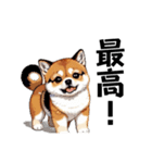 柴犬（ドット絵）（個別スタンプ：20）