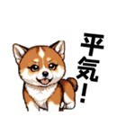 柴犬（ドット絵）（個別スタンプ：24）