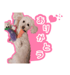 エル＆レア（個別スタンプ：1）