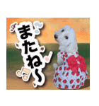 エル＆レア（個別スタンプ：6）