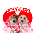 エル＆レア（個別スタンプ：8）
