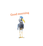 ハシビロコウ shoebill stork（個別スタンプ：7）