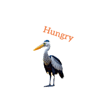 ハシビロコウ shoebill stork（個別スタンプ：14）