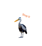 ハシビロコウ shoebill stork（個別スタンプ：29）