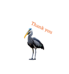 ハシビロコウ shoebill stork（個別スタンプ：34）