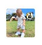 koa0歳stamp（個別スタンプ：16）