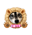 黒柴ホタル（個別スタンプ：3）