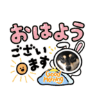 黒柴ホタル（個別スタンプ：11）