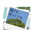 お疲れ様、ありがとう、ご挨拶（個別スタンプ：30）