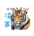 虎ベビーの生活 (漢字)（個別スタンプ：16）