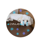 ♡ルー＆ココ♡（個別スタンプ：4）