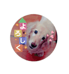 ♡ルー＆ココ♡（個別スタンプ：7）