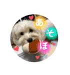 ♡ルー＆ココ♡（個別スタンプ：10）