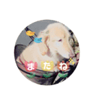 ♡ルー＆ココ♡（個別スタンプ：13）