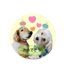 ♡ルー＆ココ♡（個別スタンプ：15）