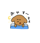 いろいろいぬスタンプ（個別スタンプ：7）