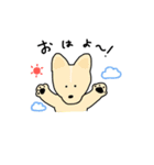 いろいろいぬスタンプ（個別スタンプ：12）