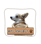 こっこまちゃん（個別スタンプ：16）