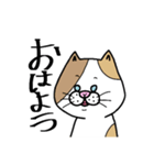 使える！ 三毛ねこさん 手書き 大文字（個別スタンプ：1）