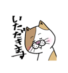 使える！ 三毛ねこさん 手書き 大文字（個別スタンプ：8）