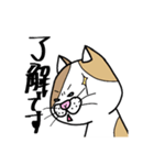 使える！ 三毛ねこさん 手書き 大文字（個別スタンプ：11）