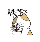 使える！ 三毛ねこさん 手書き 大文字（個別スタンプ：14）