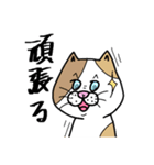 使える！ 三毛ねこさん 手書き 大文字（個別スタンプ：17）