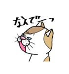 使える！ 三毛ねこさん 手書き 大文字（個別スタンプ：22）