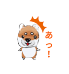 世界一の柴犬（個別スタンプ：14）