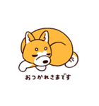 柴犬coco 使いやすいスタンプ（個別スタンプ：13）