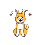 柴犬coco 使いやすいスタンプ（個別スタンプ：14）