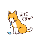 柴犬coco 使いやすいスタンプ（個別スタンプ：21）