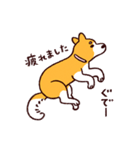 柴犬coco 使いやすいスタンプ（個別スタンプ：23）