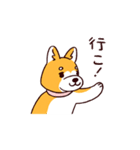 柴犬coco 使いやすいスタンプ（個別スタンプ：31）