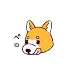 柴犬coco 使いやすいスタンプ（個別スタンプ：39）