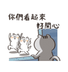 力を求める猫（台湾）(2023 LET'S DRAW)（個別スタンプ：23）