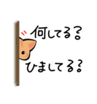 茶トラの日常 スタンプ（個別スタンプ：15）