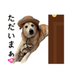 ブライアンと仲間たち（個別スタンプ：4）